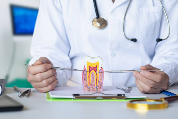 Best After-Hours Emergency Dentist in Pleasant Hill, MS